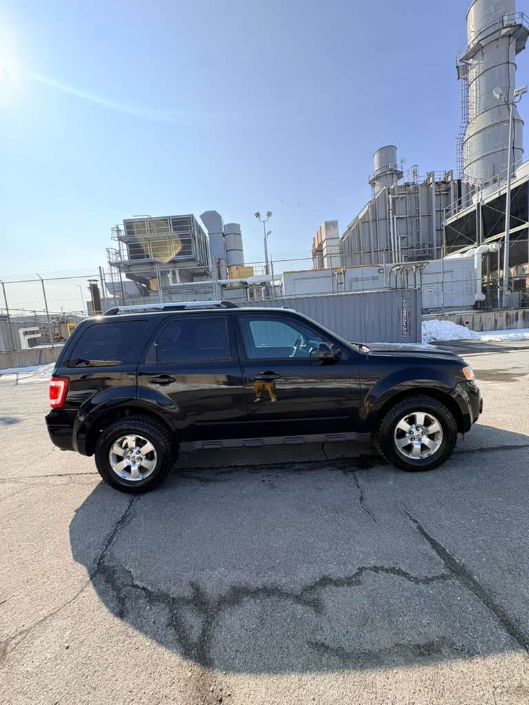 Ford escape limited